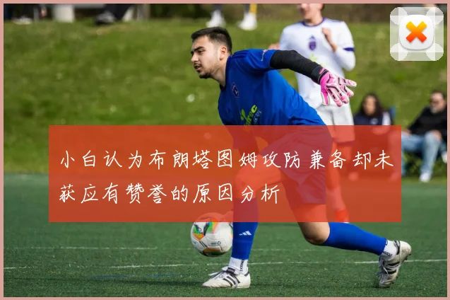 小白认为布朗塔图姆攻防兼备却未获应有赞誉的原因分析